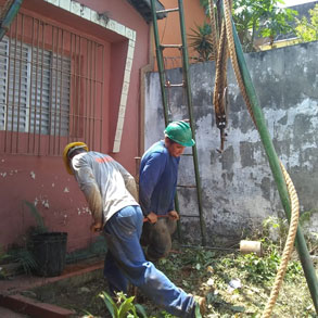 Grande São Paulo - SP