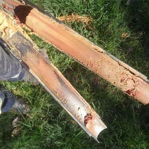 Jardim Santa Cecília